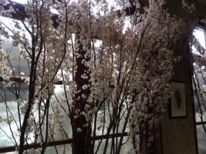 大雪から春の兆し｜「神保花店」　（山形県南陽市の花キューピット加盟店 花屋）のブログ